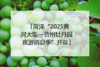 菏泽“2025黄河大集—曹州牡丹园夜游消夏季”开幕