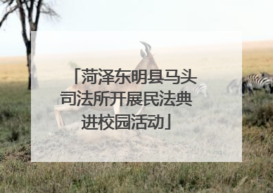菏泽东明县马头司法所开展民法典进校园活动