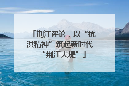 荆江评论：以“抗洪精神”筑起新时代“荆江大堤”
