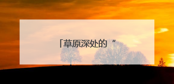 草原深处的“候鸟守望者”