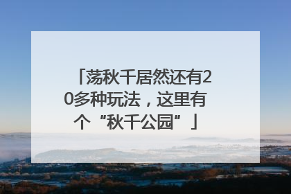 荡秋千居然还有20多种玩法，这里有个“秋千公园”