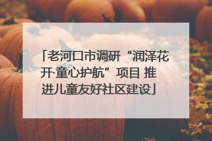 老河口市调研“润泽花开·童心护航”项目 推进儿童友好社区建设