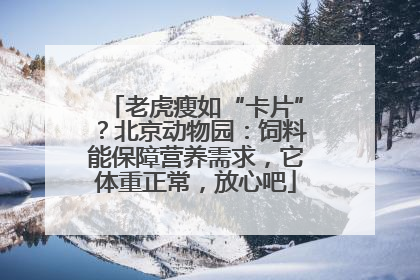 老虎瘦如“卡片”？北京动物园：饲料能保障营养需求，它体重正常，放心吧