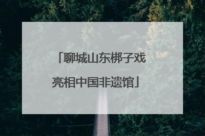 聊城山东梆子戏亮相中国非遗馆