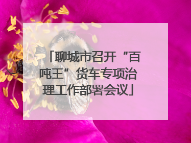 聊城市召开“百吨王”货车专项治理工作部署会议