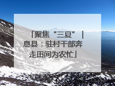 聚焦“三夏”｜息县：驻村干部奔走田间为农忙