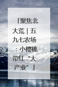 聚焦北大荒｜五九七农场：小樱桃带红“大产业”