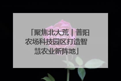 聚焦北大荒｜普阳农场科技园区打造智慧农业新阵地