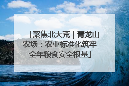 聚焦北大荒｜青龙山农场：农业标准化筑牢全年粮食安全根基