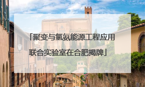 聚变与氢氨能源工程应用联合实验室在合肥揭牌