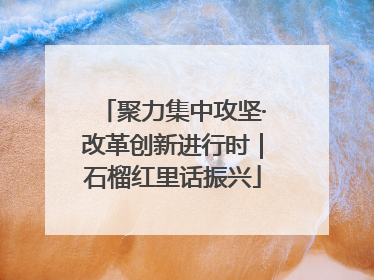 聚力集中攻坚·改革创新进行时｜石榴红里话振兴