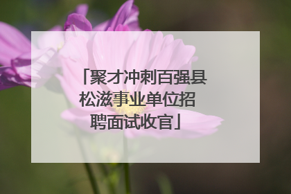 聚才冲刺百强县 松滋事业单位招聘面试收官