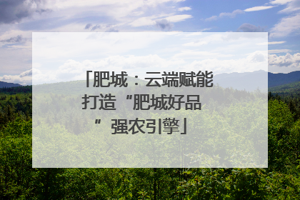 肥城：云端赋能 打造“肥城好品”强农引擎
