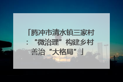 腾冲市清水镇三家村：“微治理”构建乡村善治“大格局”