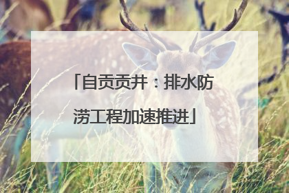 自贡贡井：排水防涝工程加速推进