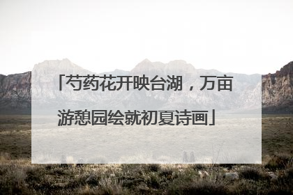 芍药花开映台湖，万亩游憩园绘就初夏诗画