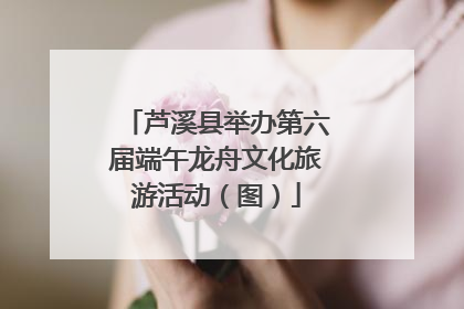 芦溪县举办第六届端午龙舟文化旅游活动（图）
