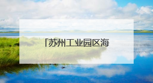 苏州工业园区海归人才子女学校：让学生成为全面发展的终身学习者