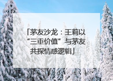 茅友沙龙：王莉以“三重价值”与茅友共探情感逻辑