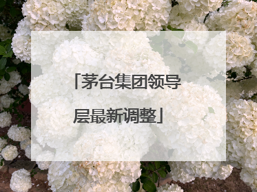 茅台集团领导层最新调整
