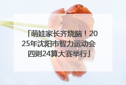 萌娃家长齐烧脑！2025年沈阳市智力运动会四则24算大赛举行