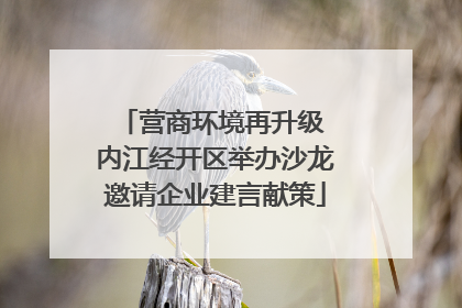 营商环境再升级 内江经开区举办沙龙邀请企业建言献策