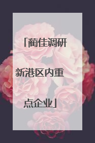 蔺佳调研新港区内重点企业