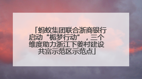 蚂蚁集团联合浙商银行启动“栀梦行动”，三个维度助力浙江下姜村建设共富示范区示范点