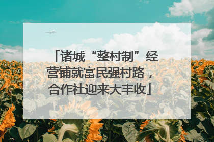 诸城“整村制”经营铺就富民强村路，合作社迎来大丰收