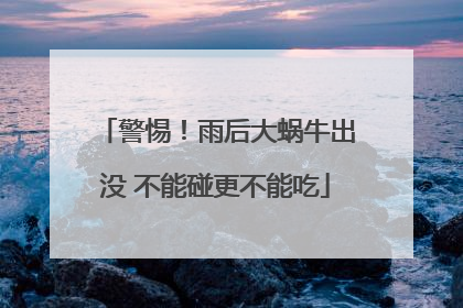 警惕！雨后大蜗牛出没 不能碰更不能吃