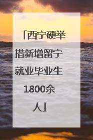 西宁硬举措新增留宁就业毕业生1800余人