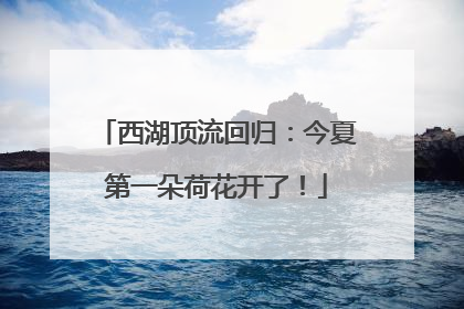 西湖顶流回归：今夏第一朵荷花开了！
