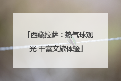 西藏拉萨：热气球观光 丰富文旅体验