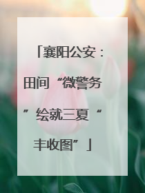 襄阳公安：田间“微警务”绘就三夏“丰收图”