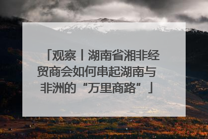 观察丨湖南省湘非经贸商会如何串起湖南与非洲的“万里商路”