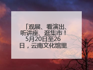 观展、看演出、听讲座、逛集市！5月20日至26日，云南文化馆里玩场多