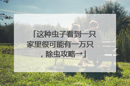 这种虫子看到一只家里很可能有一万只，除虫攻略→