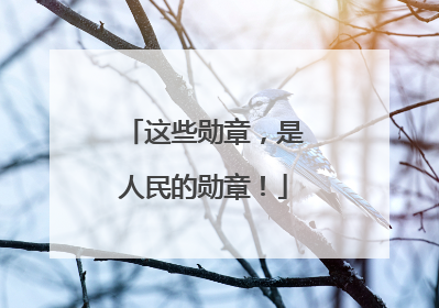 这些勋章，是人民的勋章！