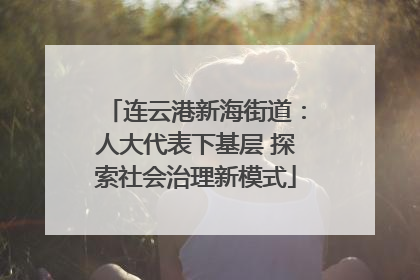 连云港新海街道：人大代表下基层 探索社会治理新模式