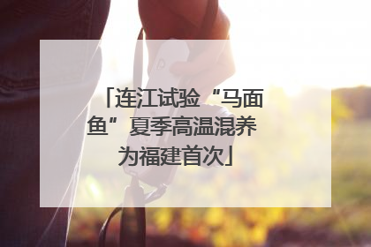 连江试验“马面鱼”夏季高温混养 为福建首次