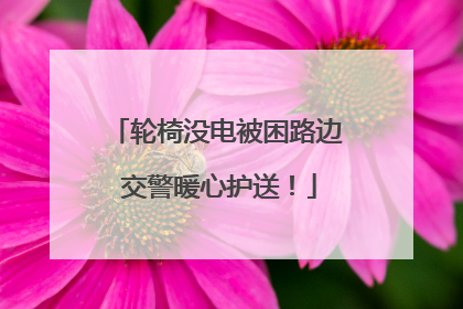 轮椅没电被困路边 交警暖心护送！