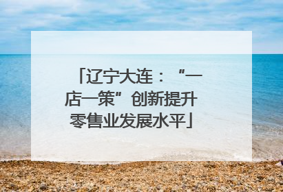 辽宁大连：“一店一策”创新提升零售业发展水平