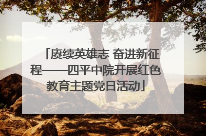 赓续英雄志 奋进新征程——四平中院开展红色教育主题党日活动