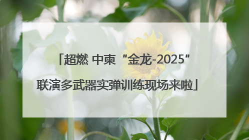 超燃 中柬“金龙-2025”联演多武器实弹训练现场来啦