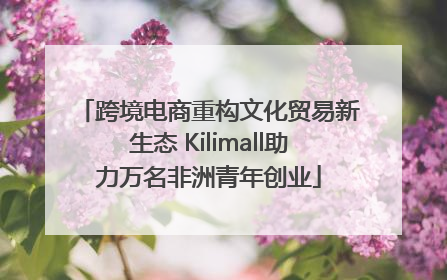 跨境电商重构文化贸易新生态 Kilimall助力万名非洲青年创业