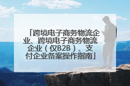 跨境电子商务物流企业、跨境电子商务物流企业（仅B2B）、支付企业备案操作指南