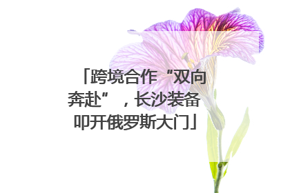 跨境合作“双向奔赴”，长沙装备叩开俄罗斯大门