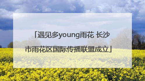 遇见多young雨花 长沙市雨花区国际传播联盟成立