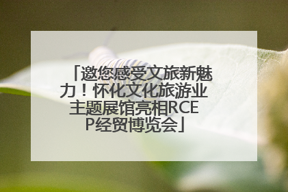 邀您感受文旅新魅力！怀化文化旅游业主题展馆亮相RCEP经贸博览会