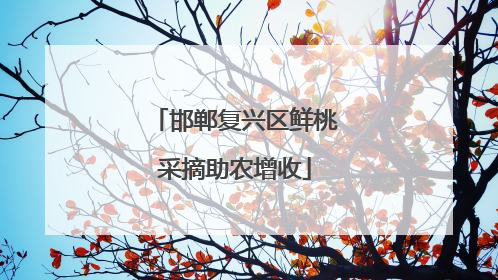 邯郸复兴区鲜桃采摘助农增收